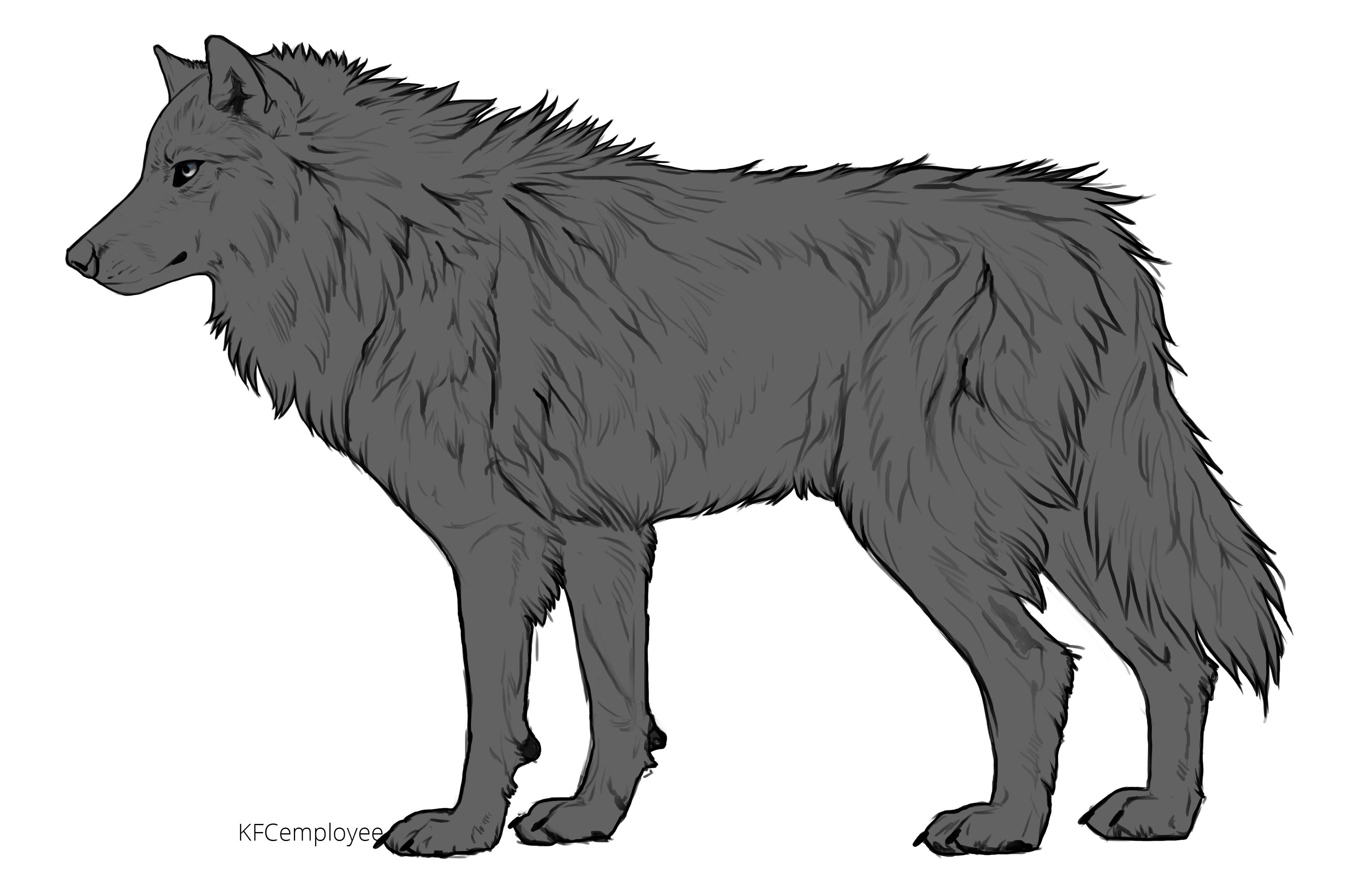 Coyote clipart wolf side view. 