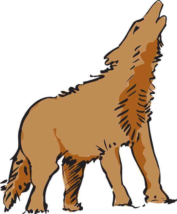 coyote clipart wyle