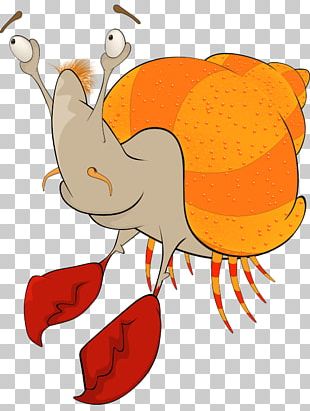 Hermit png images . Crab clipart big red
