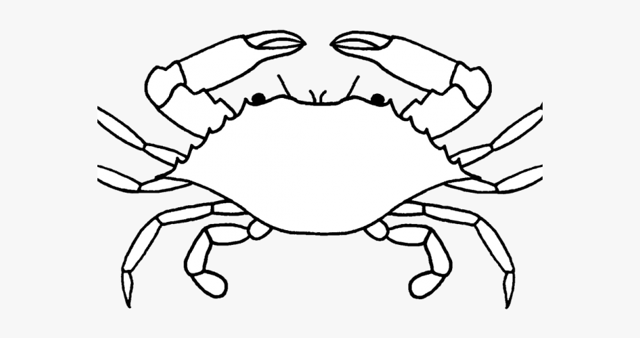 crab clipart crab drawing