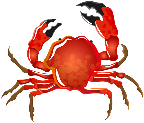 Crab clipart crab feed. Gallery recent updates 