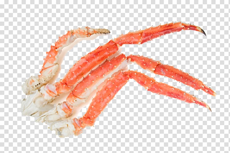 crab clipart crab leg