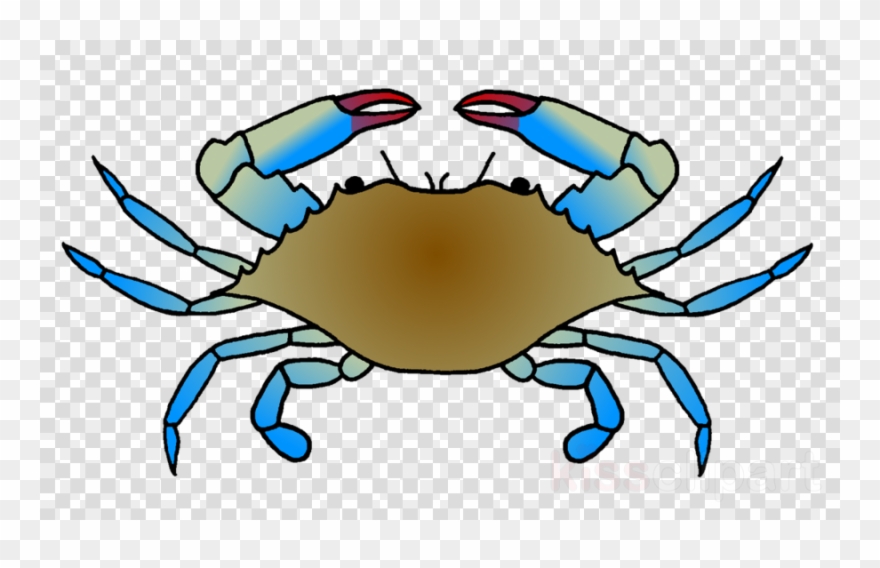 crabs clipart dungeness crab