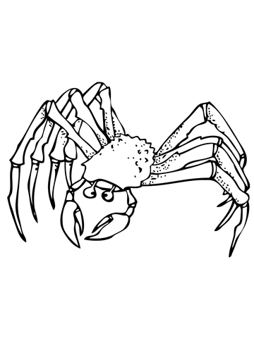 Crabs clipart ghost crab. Coloring page free printable