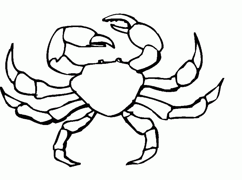 crab clipart kid