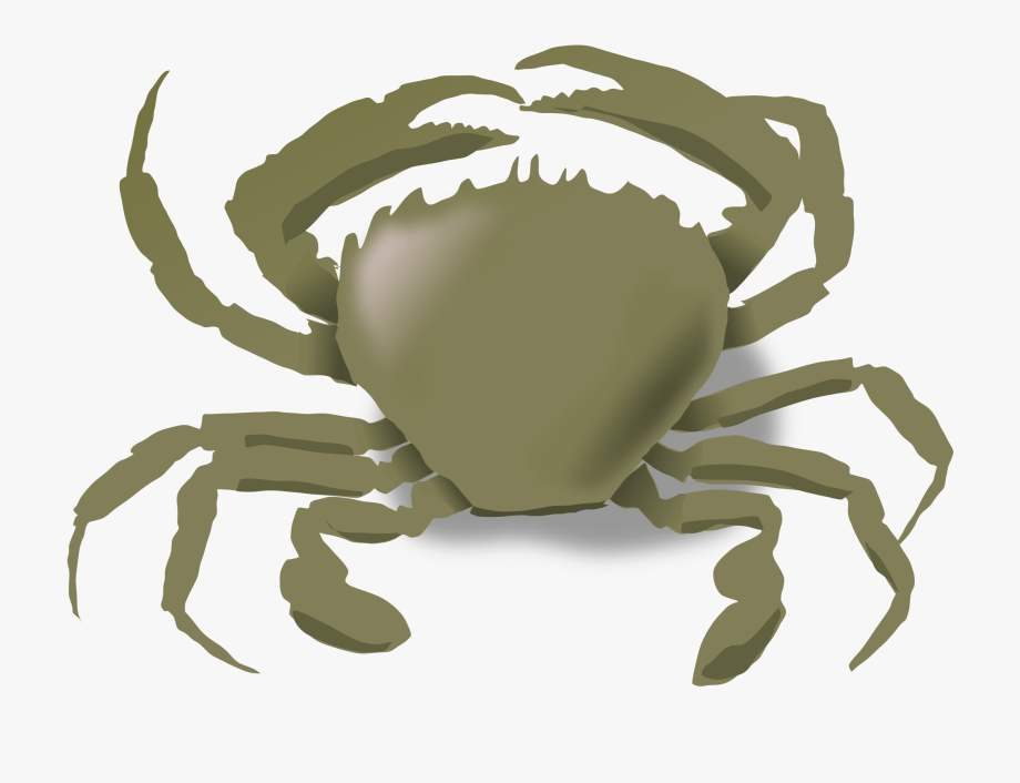crab clipart land water animal