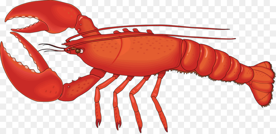 crab clipart lobster