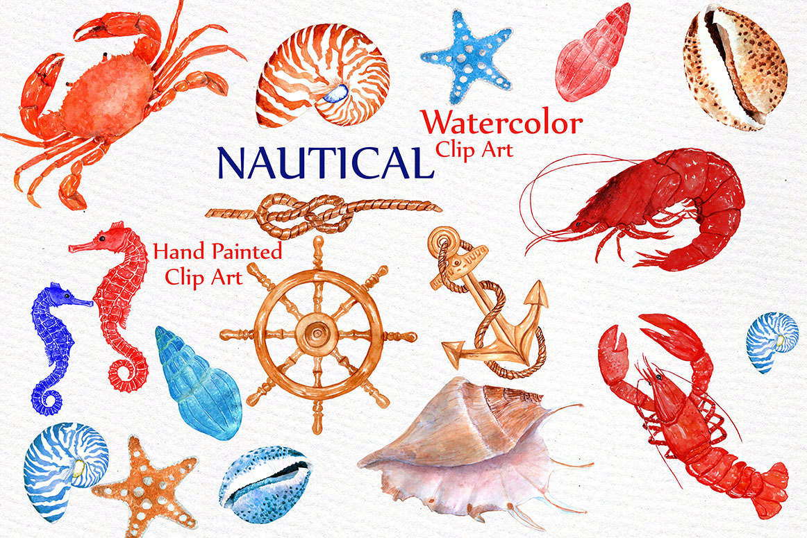 Watercolor beach animals crabs. Crab clipart nautical