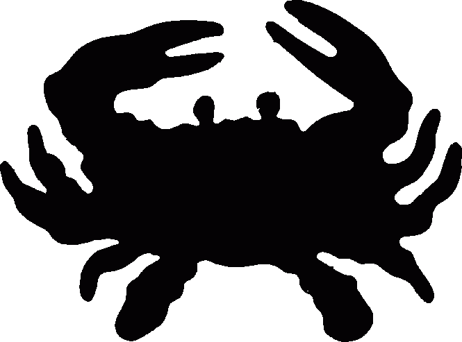 Crab realistic