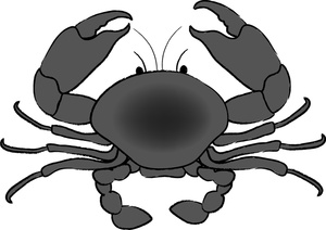 crab clipart realistic
