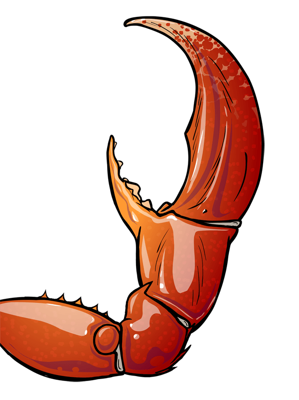 crab clipart red animal