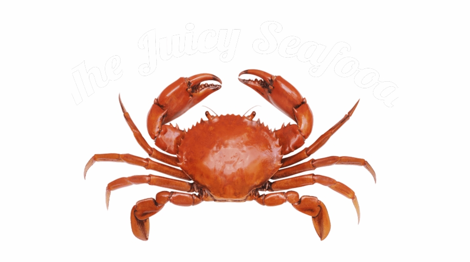 crab clipart seafood