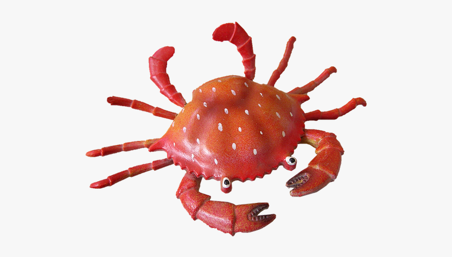 crab clipart seafood restaurant