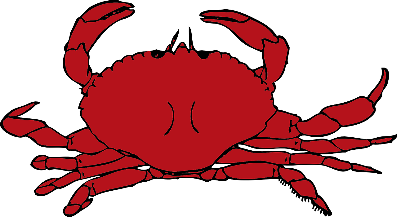Red crustaceans seafood png. Crab clipart shellfish