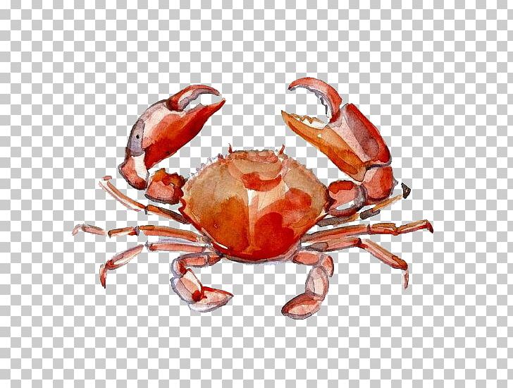 crab clipart watercolor