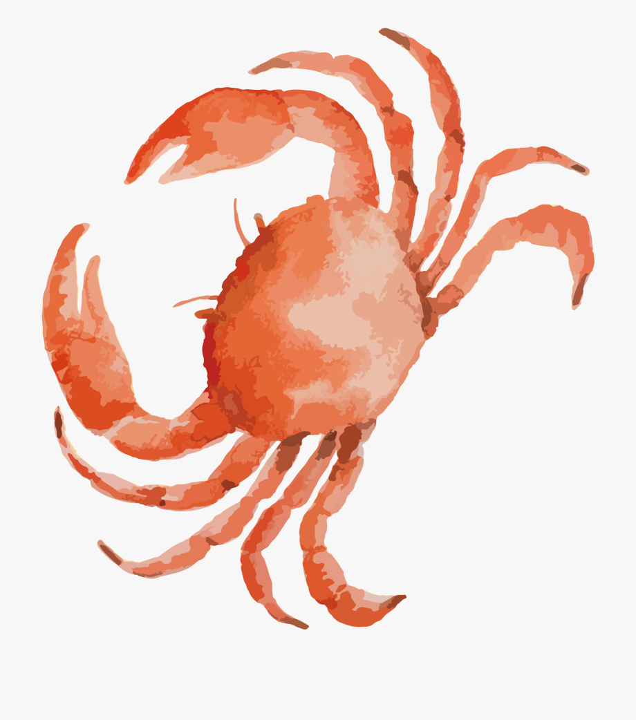 crab clipart watercolor