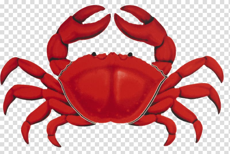 crabs clipart christmas