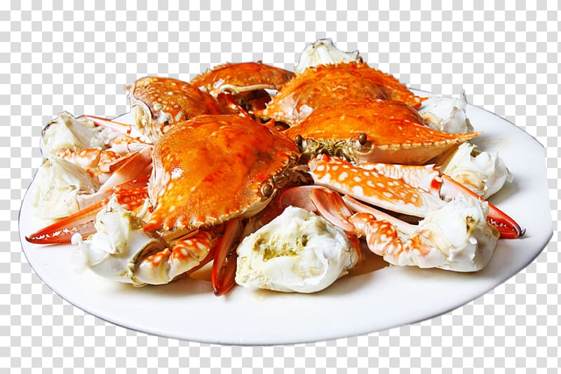 On white plate dungeness. Crabs clipart cooked crab