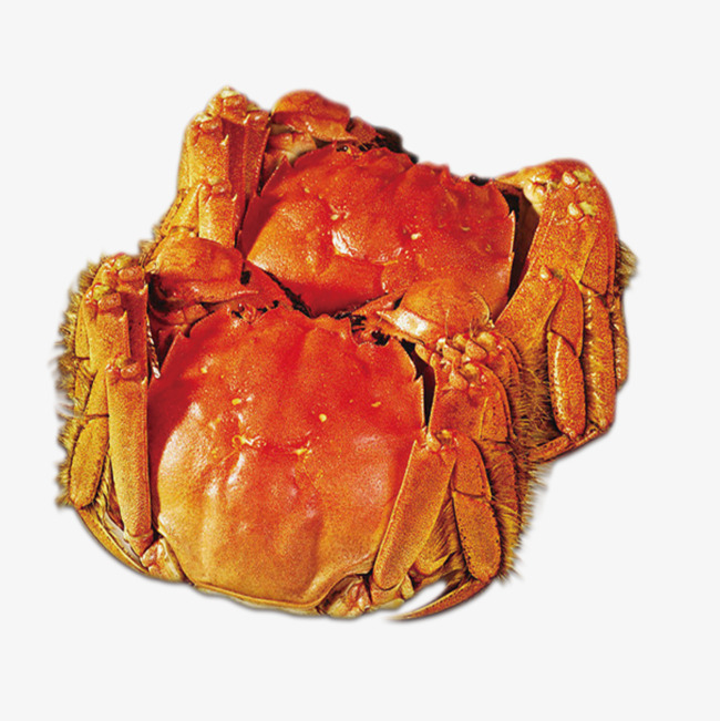 Crabs clipart cooked crab. Seafood png image and