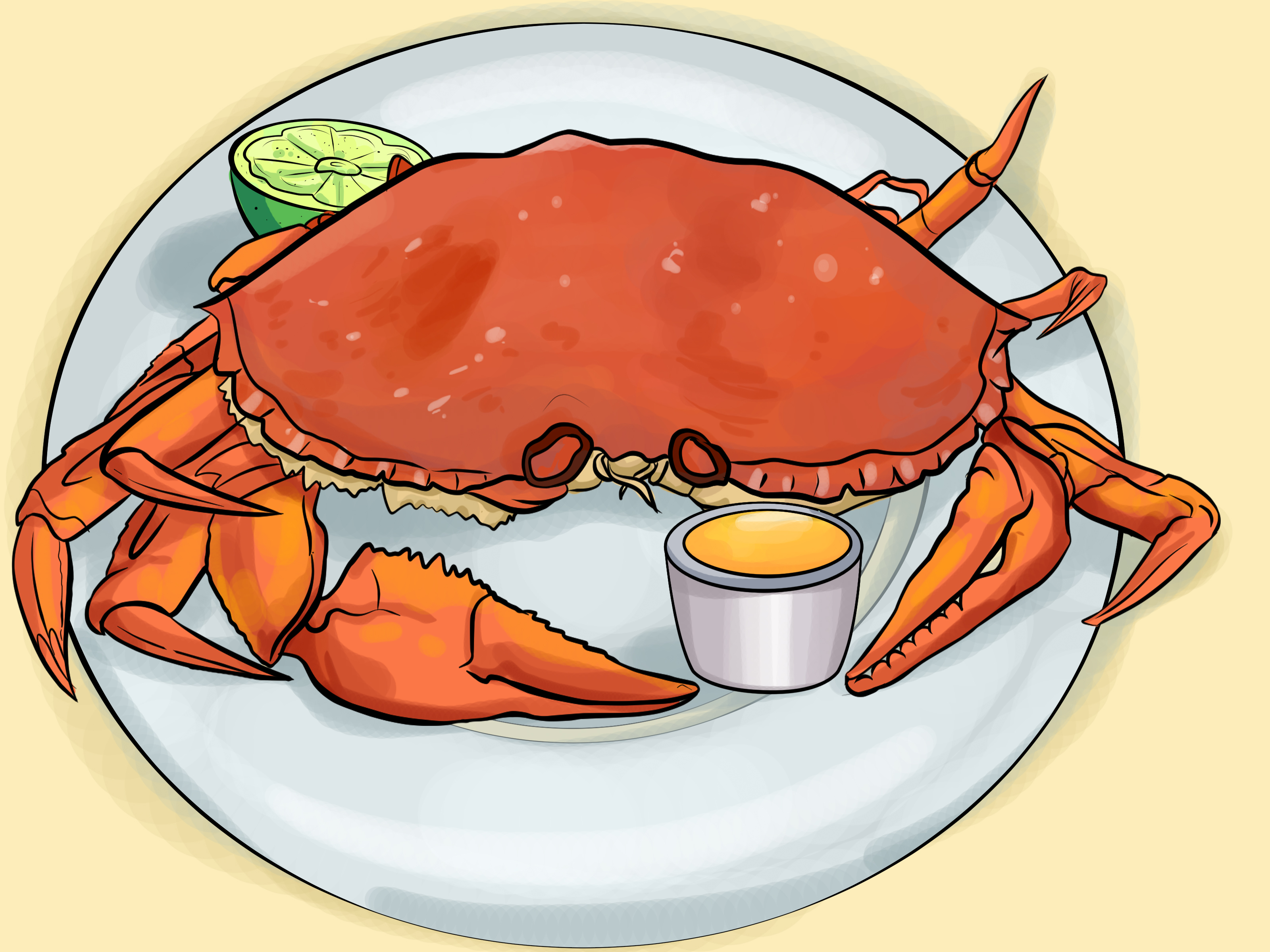 How to clean dungeness. Crabs clipart cooked crab