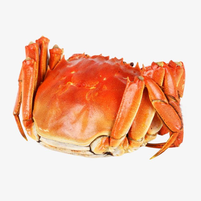 crabs clipart crab food
