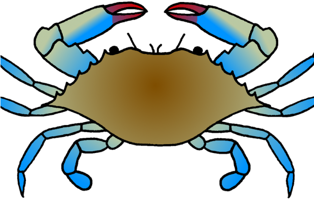 crabs clipart easy