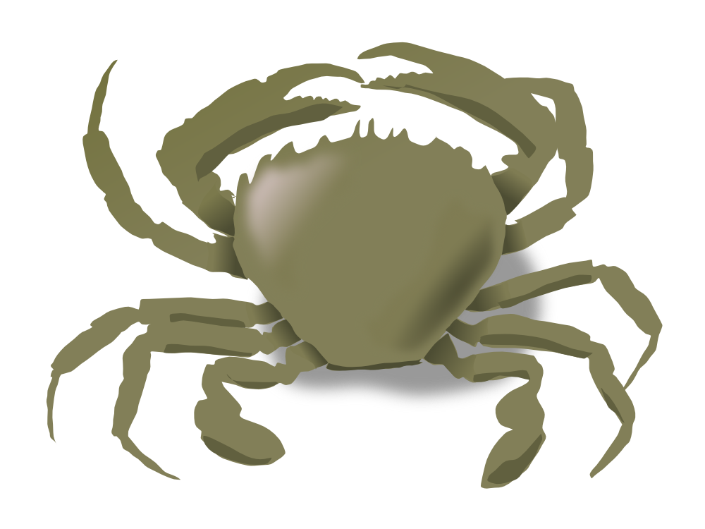 crabs clipart friendly