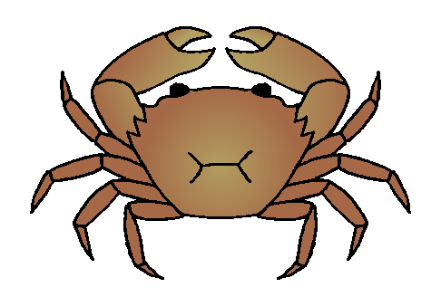 Crabs clipart mud crab. Outside the quadrat 