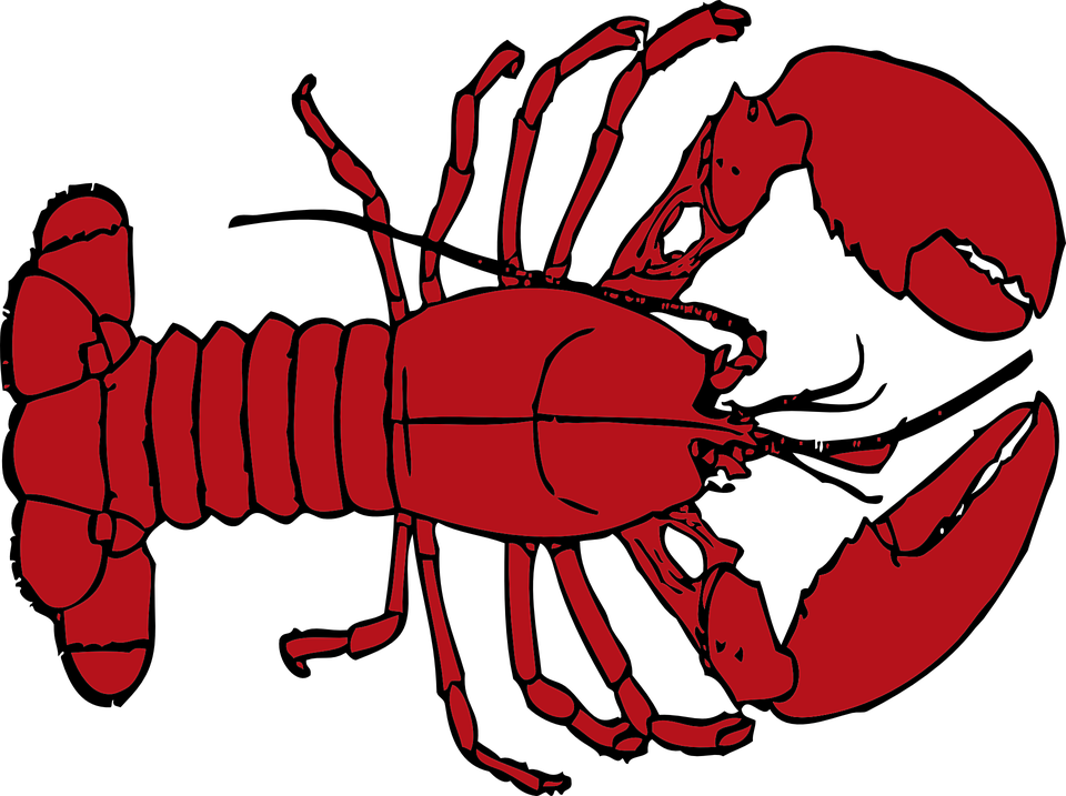 crabs clipart real