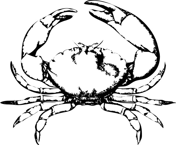 crabs clipart stone crab