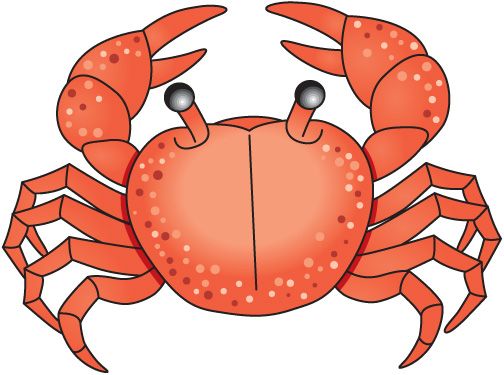 crabs clipart under sea