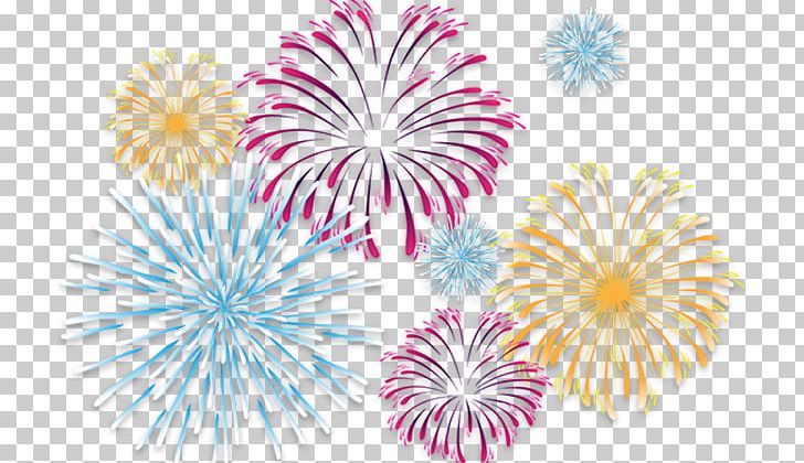 cracker clipart colorful