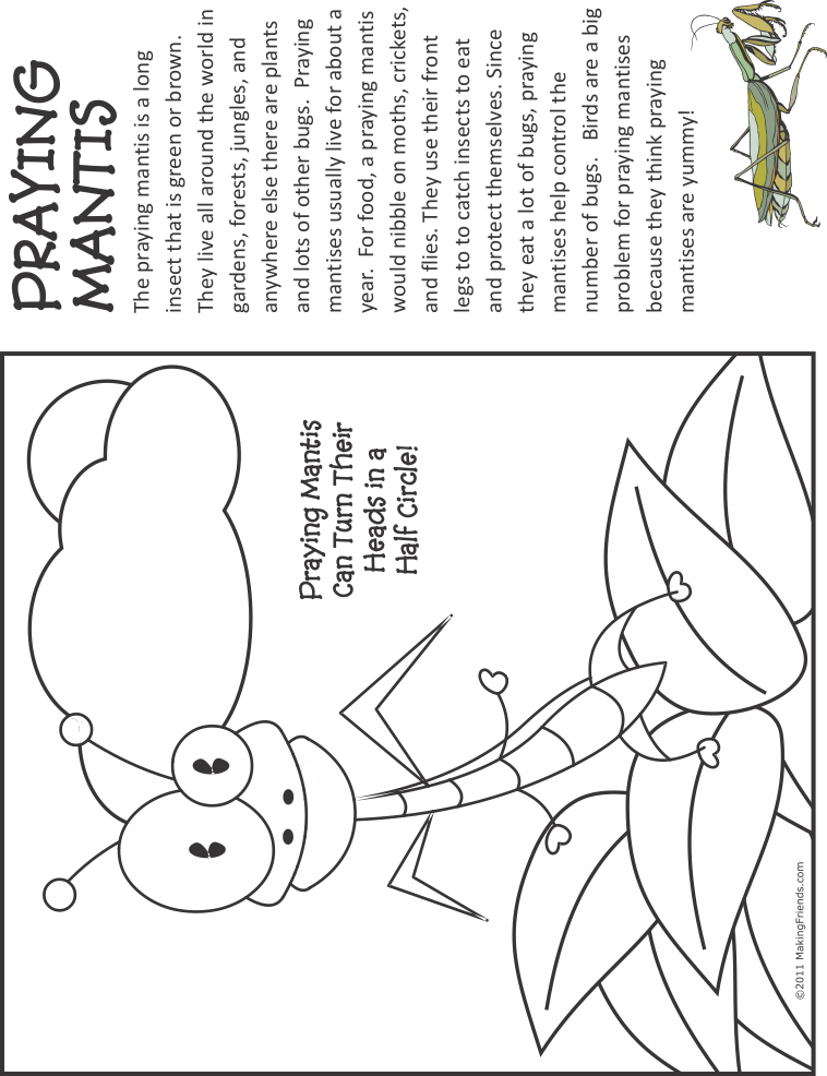 Bug coloring pinterest praying. Worm clipart colouring page