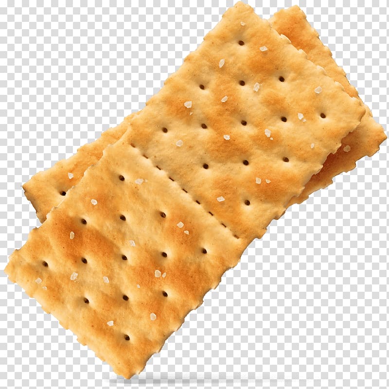 Two crackers saltine biscuit. Cracker clipart food