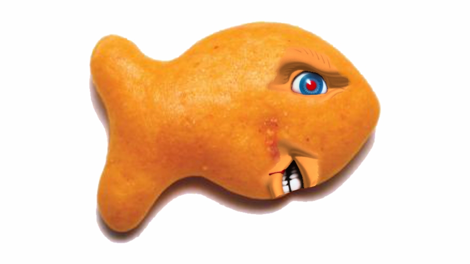 goldfish clipart craker