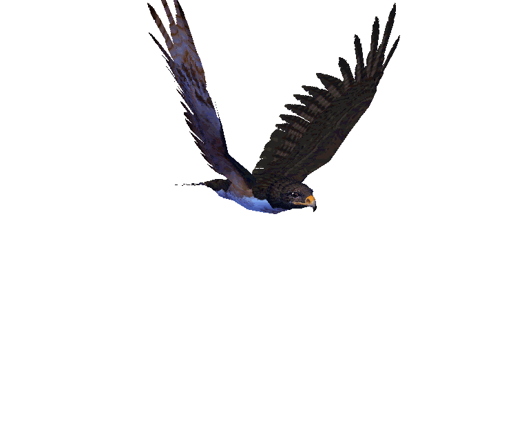Flying birds gif transparent. Eagle clipart animation