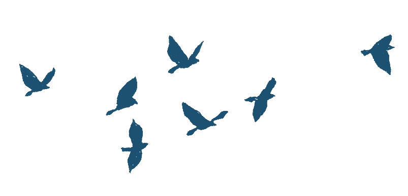 Pigeon clipart letter gif. Flying birds transparent pasrea