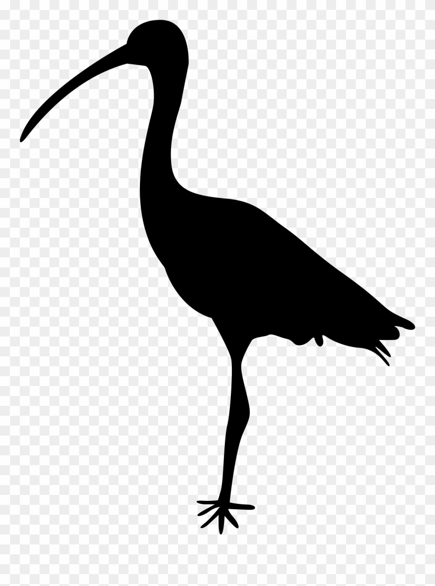 crane clipart heron