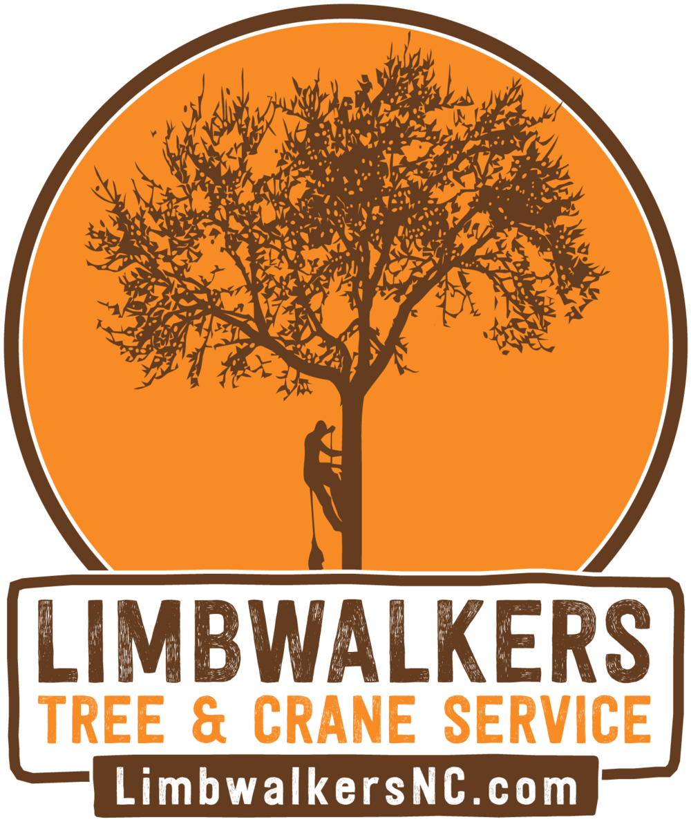 Growth clipart strong tree. Limbwalkers crane service morganton