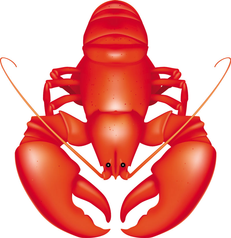 crawfish clipart claw