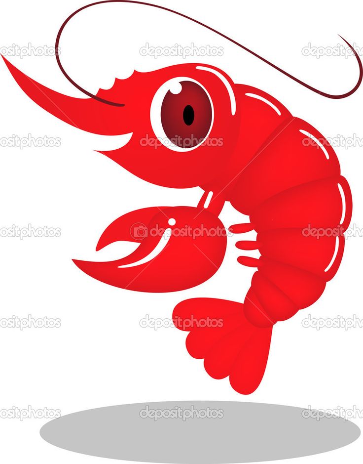 Crawfish clipart cute. Free download best on