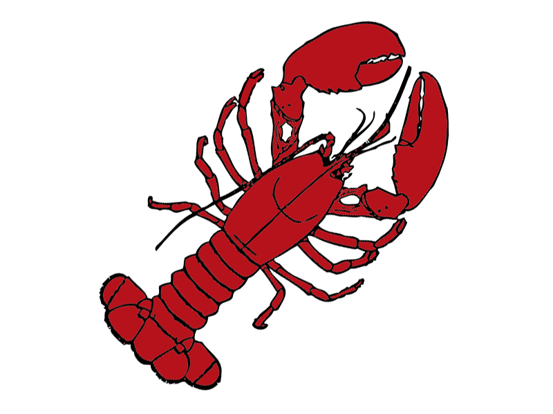 lobster clipart free vector