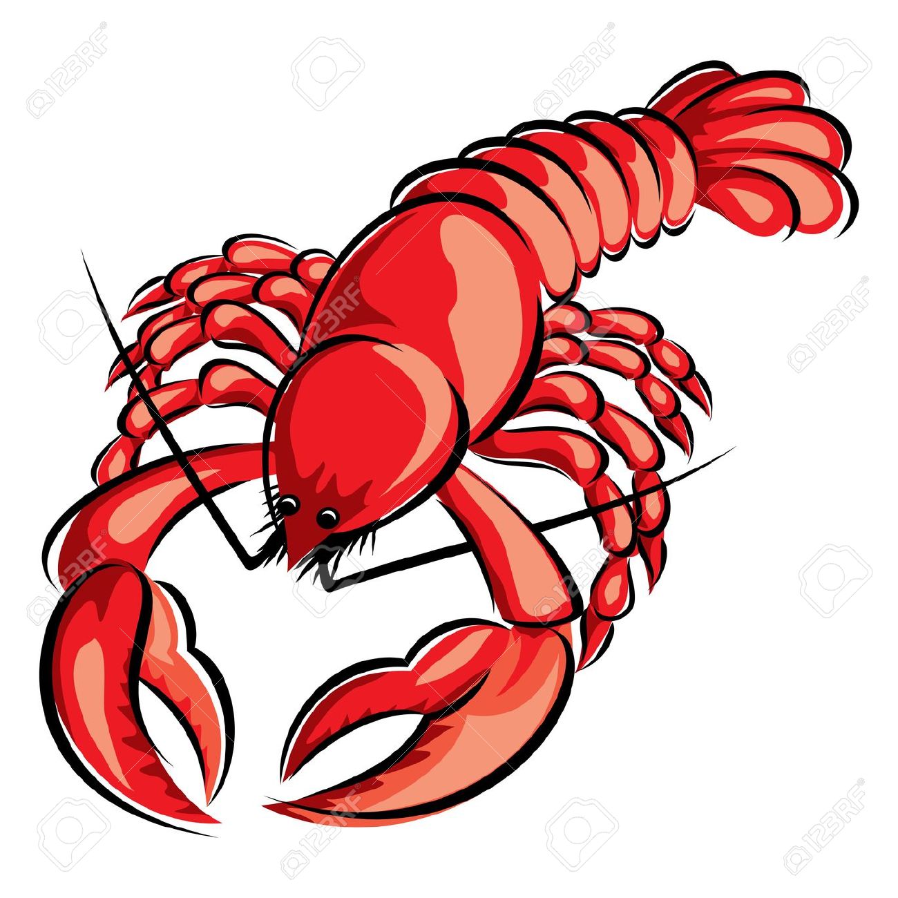 lobster clipart ocean life