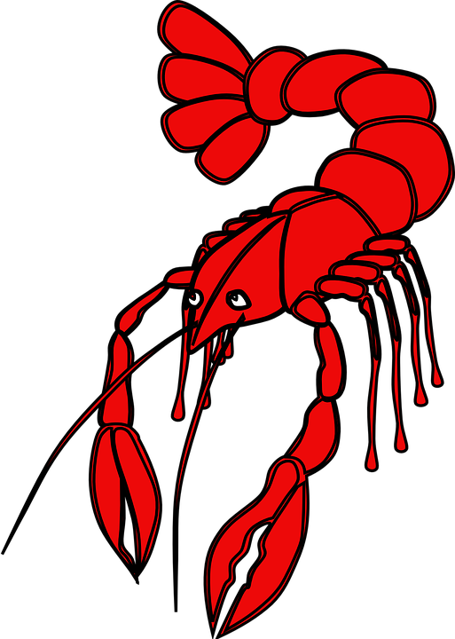 lobster clipart dancing shrimp