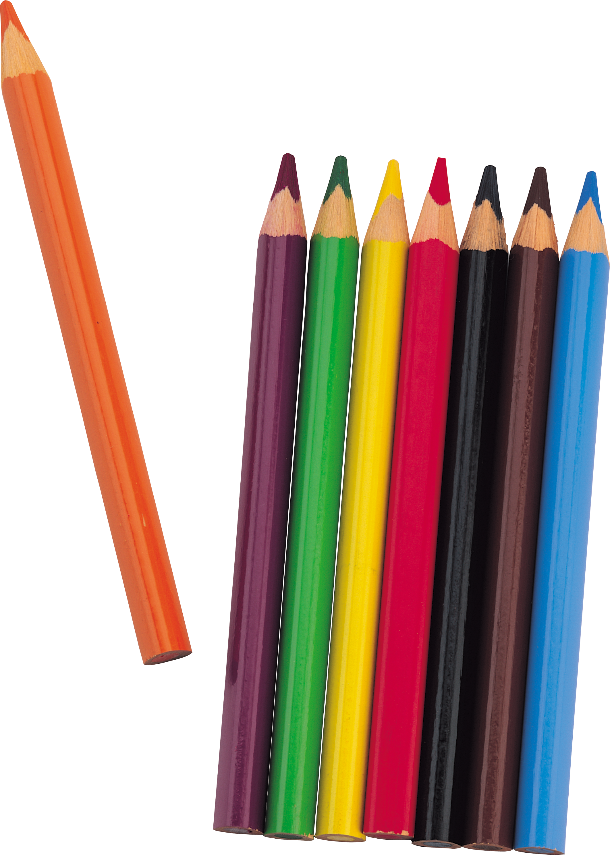 Download Crayon clipart school equipment, Crayon school equipment Transparent FREE for download on ...