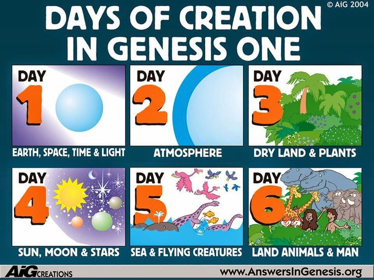 creation clipart everything