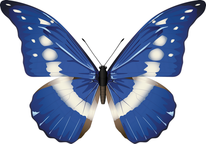 creative clipart fancy butterfly