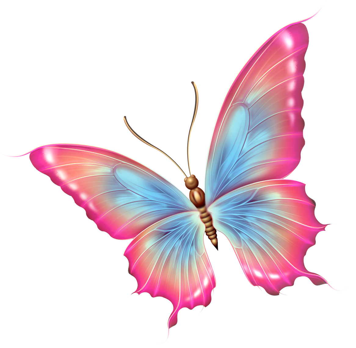 infinity clipart butterfly