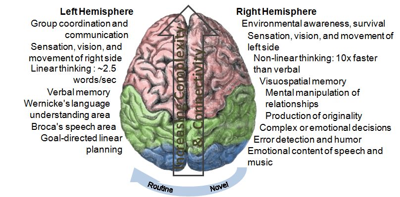 Creative clipart left right brain, Creative left right brain
