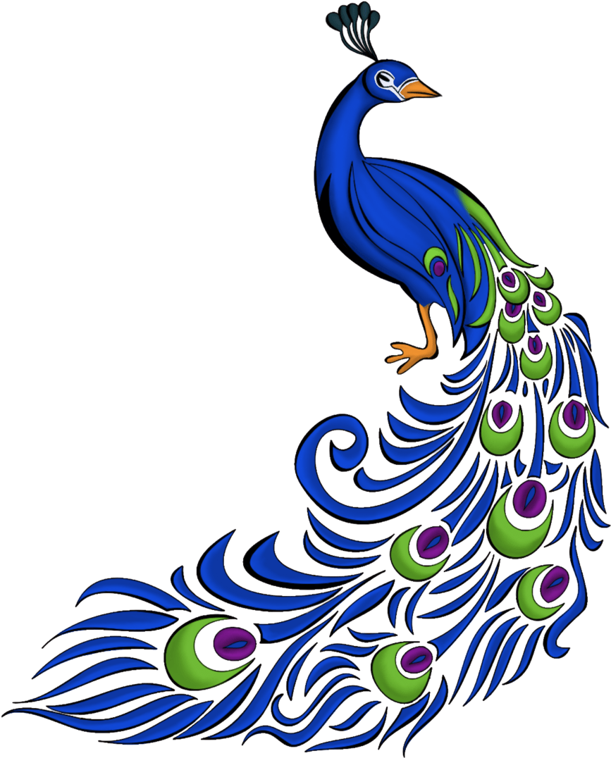 Peacock clipart fancy. Transparent feather clip art